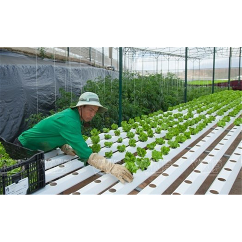 Giving best conditions  to Invest  in High Tech Agriculture 